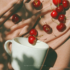 ดาวน์โหลดและฟังเพลง Something Stupid พร้อมเนื้อเพลงจาก Mario Cabrera