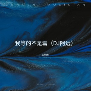 收聽王羽澤的我等的不是雪 (DJ加快版)歌詞歌曲