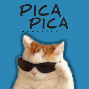 Listen to Pica Pica (Remix) song with lyrics from Maman Fvndy