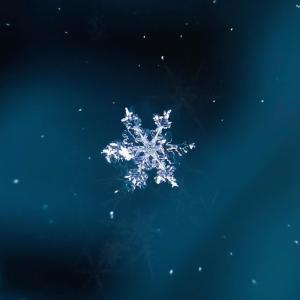 ดาวน์โหลดและฟังเพลง Frost พร้อมเนื้อเพลงจาก Ali Alkhazraji