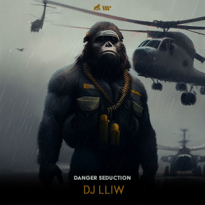 Album Danger Seduction from DJ LLIW