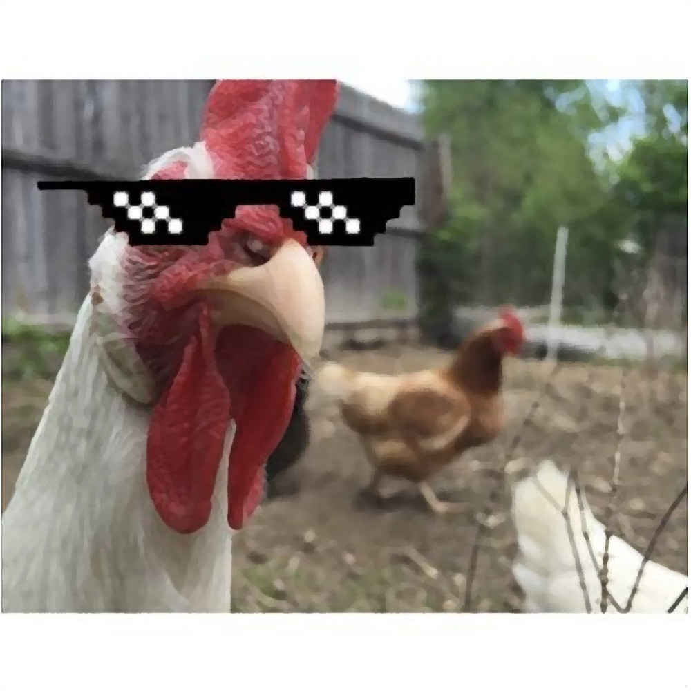 La gang del pollo