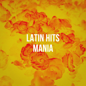 Album Latin Hits Mania from Salsa Latin 100%