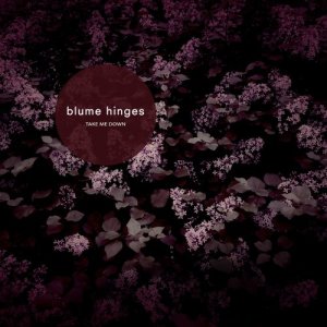 ดาวน์โหลดและฟังเพลง Take Me Down พร้อมเนื้อเพลงจาก Blume Hinges