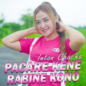 Album PACARE KENE RABINE KONO oleh Intan Chacha