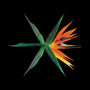 Listen to 疯语者 Going Crazy (Chinese Version) song with lyrics from EXO