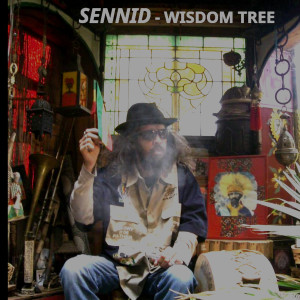 Album Wisdom Tree from 