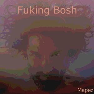 收听Mapez的Fuking Bosh歌词歌曲