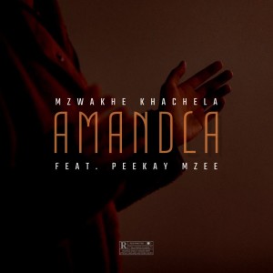 Album Amandla from Mzwakhe Khachela