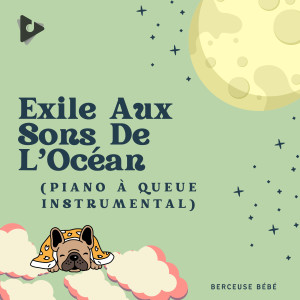 Exile Aux Sons De L'Ocean (Piano a Queue Instrumental)