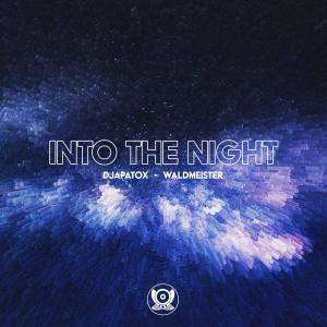 Listen to Into The Night song with lyrics from Djapatox