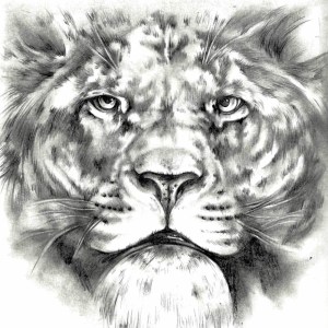 Listen to Kingdom song with lyrics from Group Star