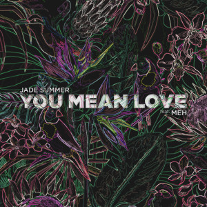 Album You Mean Love (feat. MEH) oleh Jade Summer