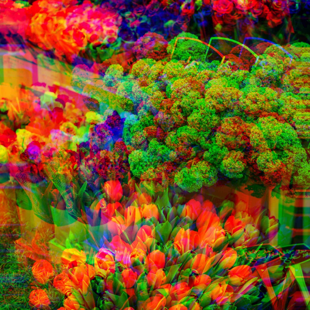 Groovy Moods for Evening Intros