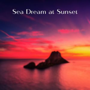 Sea Dreams at Sunset dari Various
