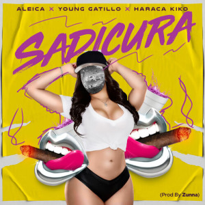 Listen to Sadicura (Explicit) song with lyrics from Haraca Kiko