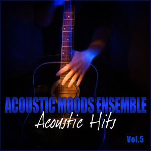 收聽Acoustic Moods Ensemble的If歌詞歌曲