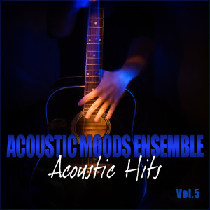 收聽Acoustic Moods Ensemble的Flamenco Fyre歌詞歌曲