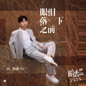 ดาวน์โหลดและฟังเพลง 眼泪落下之前 พร้อมเนื้อเพลงจาก Silence Wang