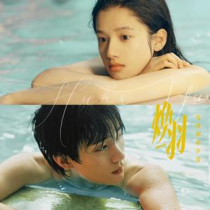 อัลบัม 焕羽 电视剧原声带 ศิลปิน Zhou Shen
