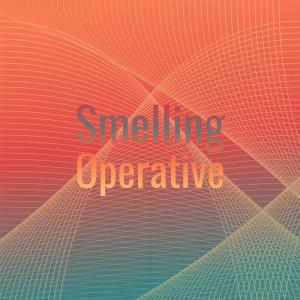 Album Smelling Operative oleh Various