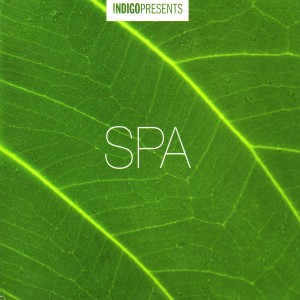 ดาวน์โหลดและฟังเพลง Ghost in the Forest พร้อมเนื้อเพลงจาก Indigo Musicians