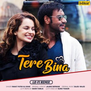 Album Tere Bina (Lo-Fi Remix) oleh Mann Taneja