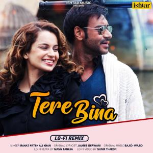 Listen to Tere Bina (Lo-Fi Remix) song with lyrics from Rahat Fateh Ali Khan