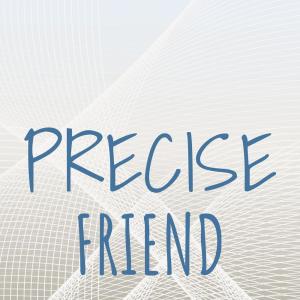 Various的专辑Precise Friend