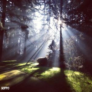 收聽Noppo的Someone else歌詞歌曲