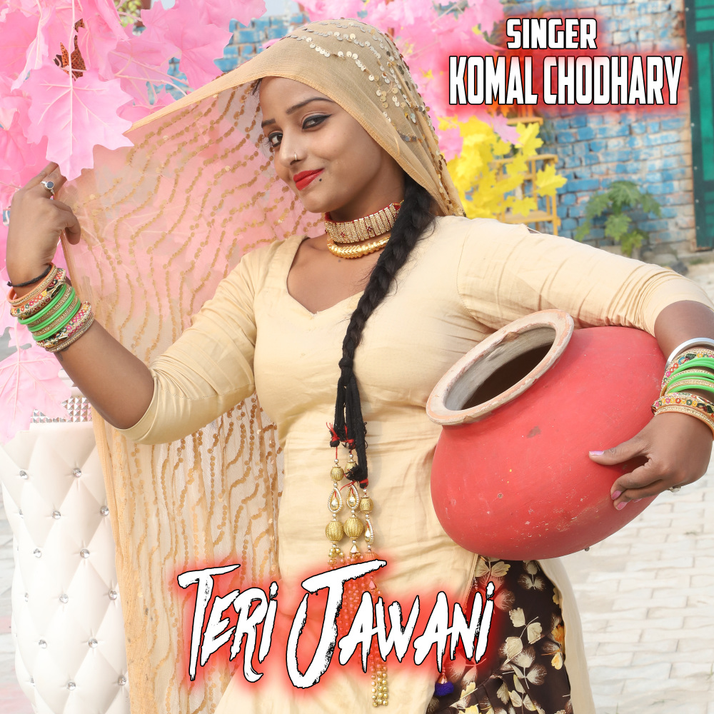 Teri Jawani