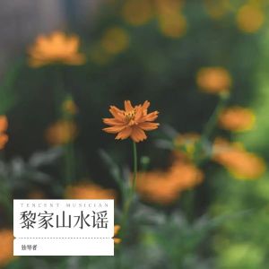 Album 黎家山水谣 from 独琴者