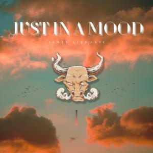 James Alphonse的專輯Just in a mood ...