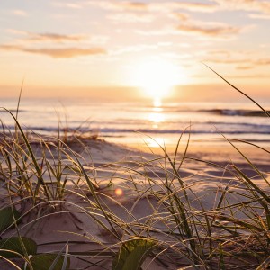 ดาวน์โหลดและฟังเพลง I Am Light พร้อมเนื้อเพลงจาก Mariagerfjord Korskole