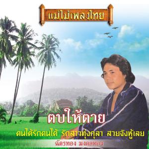 Listen to หนุ่มอวนลาก song with lyrics from ฉัตรทอง มงคลทอง