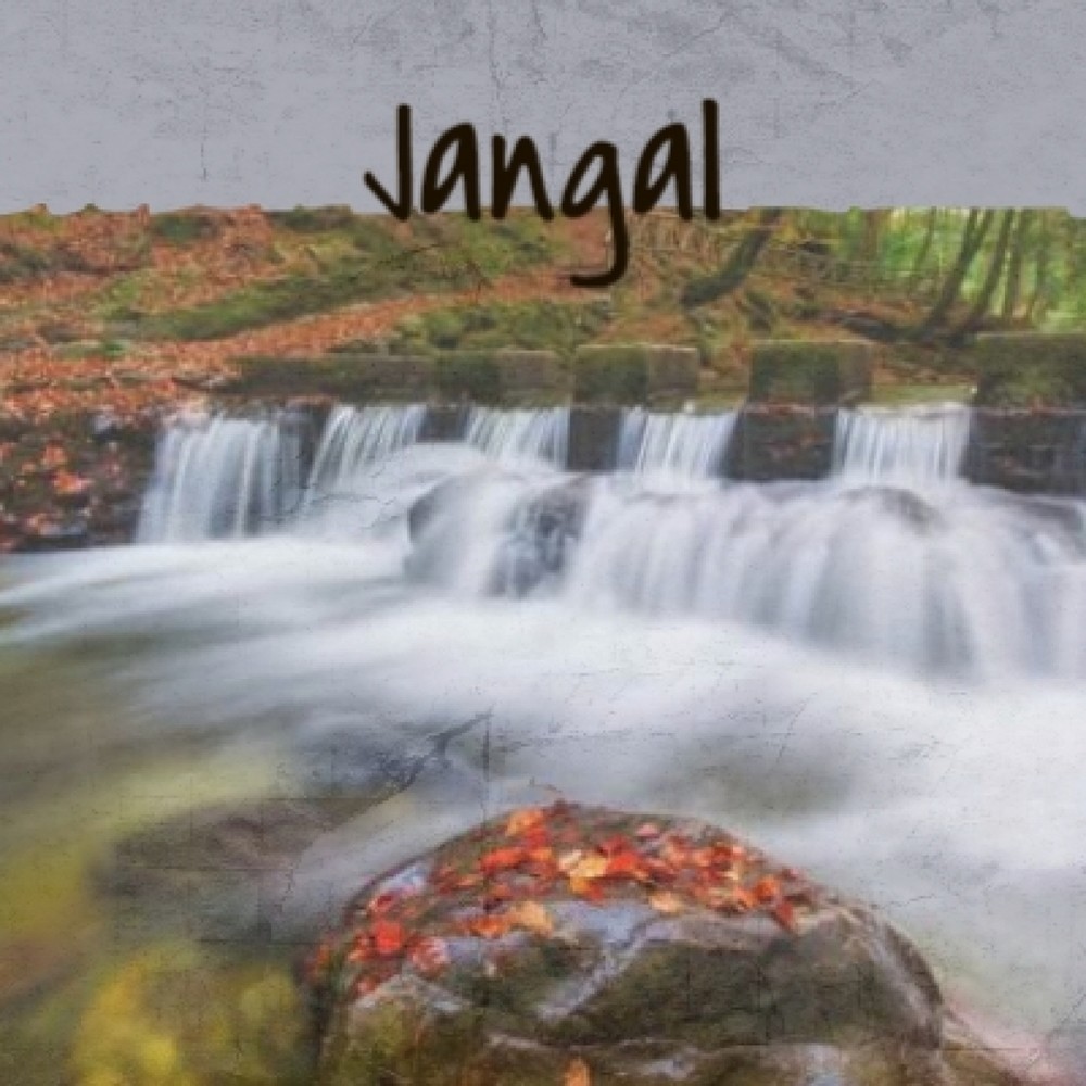 Jangal