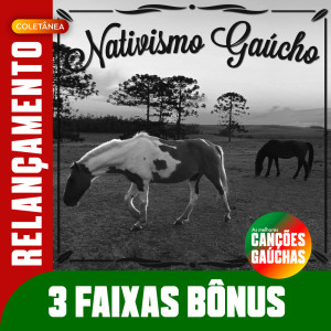 Listen to BAILE DO SAPUCAY song with lyrics from Berenice Azambuja
