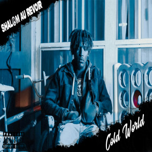 Listen to Cold World (Explicit) song with lyrics from Shalom Au Revoir