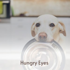 ดาวน์โหลดและฟังเพลง Hungry Eyes พร้อมเนื้อเพลงจาก Merle Haggard