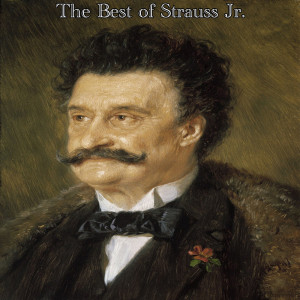 Vienna Philharmonic Orchestra的专辑The Best of Strauss Jr.