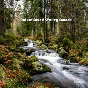 ดาวน์โหลดและฟังเพลง Valley Sound (White Noise, ASMR, Nature Sound) พร้อมเนื้อเพลงจาก J.Roomy