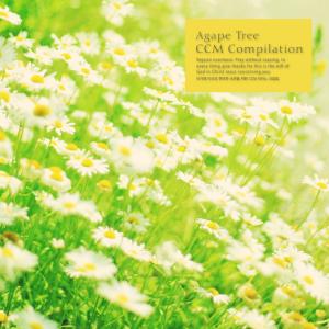 อัลบัม CCM piano collection for a relaxing sleep of Agape tree ศิลปิน Various Artists