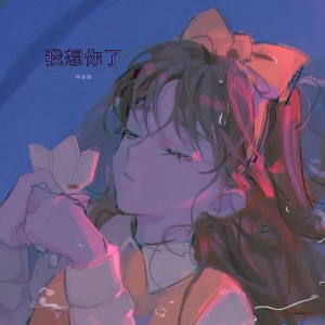 收听林金煌的幻昼 (DJ版)歌词歌曲
