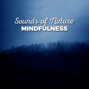 Sounds of Nature!的專輯Sounds of Nature: Mindfulness