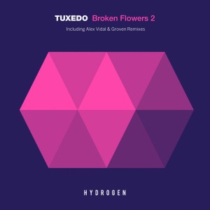 收聽Tuxedo的Broken Flower (Alex Vidal Remix)歌詞歌曲