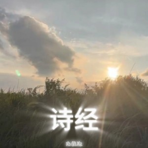 Listen to 蒹葭 (伴奏) song with lyrics from 杨明建