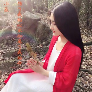 收聽小薇的傷了我的心不如要了我的命 (DJ戰神版) (完整版)歌詞歌曲