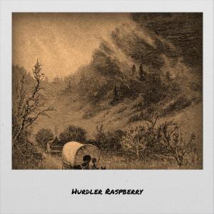 Dengarkan lagu Medaled nyanyian Gayan Brane dengan lirik