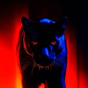 ดาวน์โหลดและฟังเพลง Ameme Vs Mambi (Afro House Mix) พร้อมเนื้อเพลงจาก Afro Nation