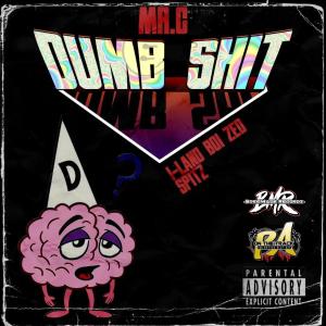 Mr.C的專輯Dumb Shit (feat. I-land Boi Zed & Spitzphire) (Explicit)